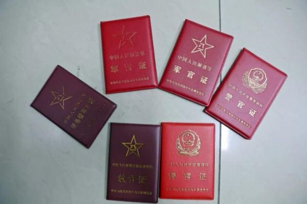 玛丽水果机下载